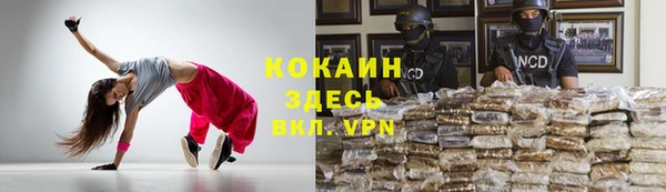 МДПВ Алзамай