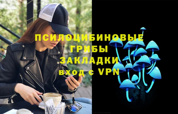 МДПВ Алзамай