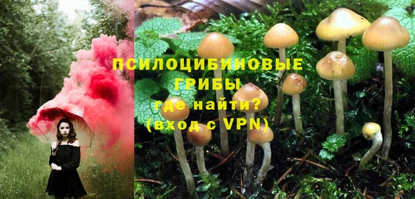 прущие крисы Алексеевка